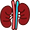 Estimated Glomerular Filtration Rate (GFR)